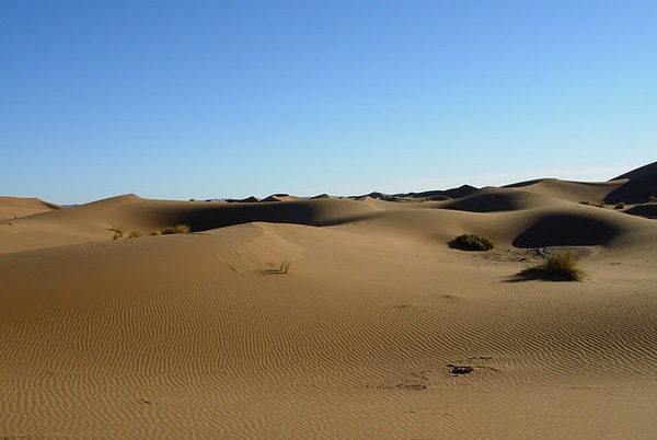 Maroc Tour Guide