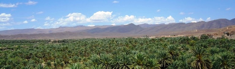 Maroc Tour Guide