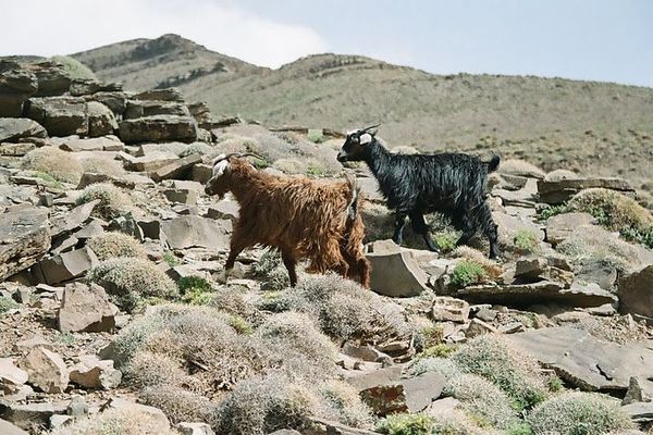 Confins du Haut atlas