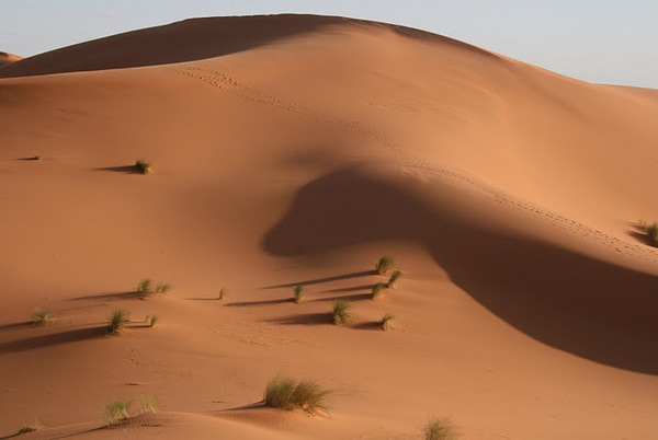 #htmlcaption Dunes du Mhamed