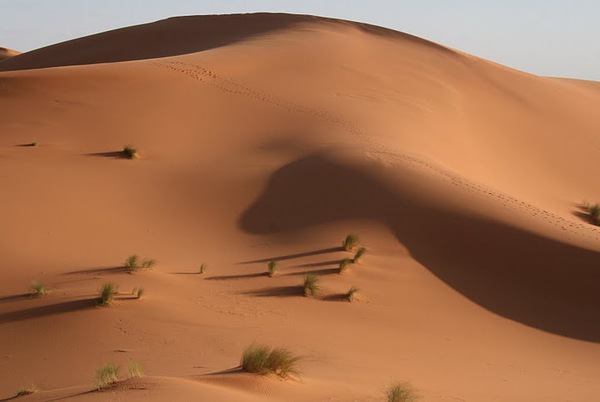 Dunes du Mhamed