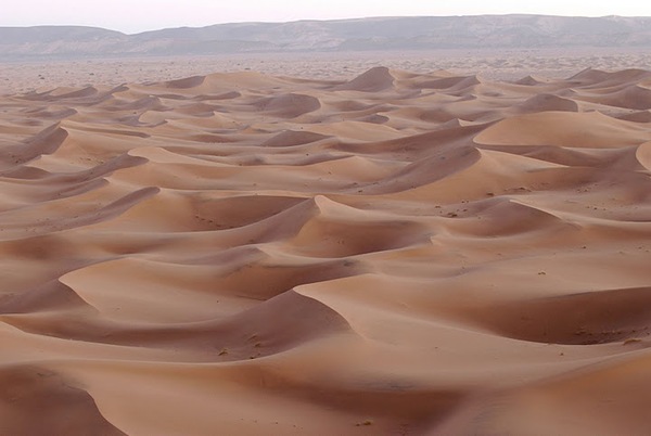 Dunes du Mhamed