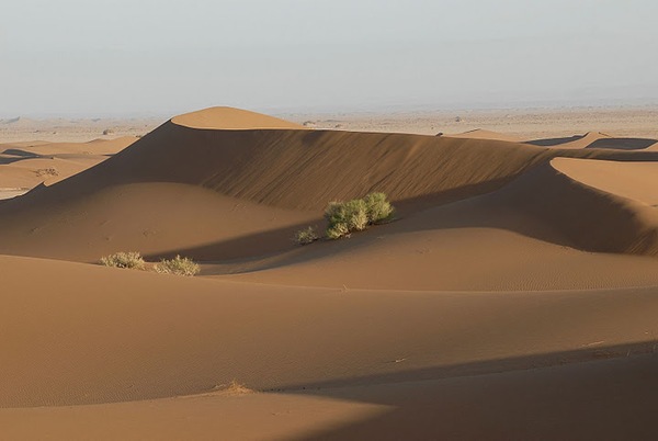 Dunes du Mhamed