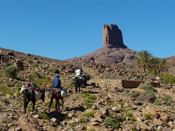 Djebel Saghrou