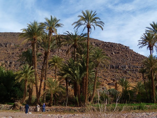 Djebel Saghrou