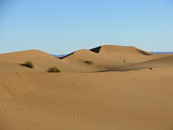 #htmlcaption Dunes Oasis Oued draa