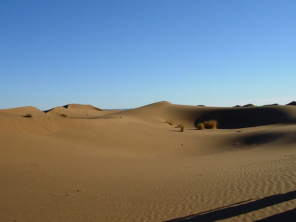 #htmlcaption Dunes Oasis Oued draa
