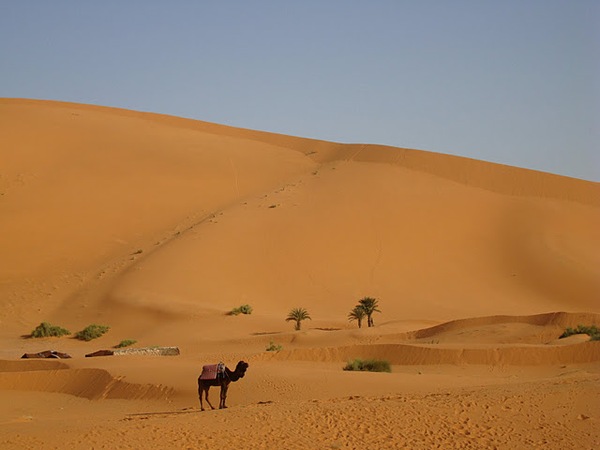 #htmlcaption Erg Chebbi Merzouga