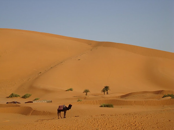 Erg Chebbi Merzouga