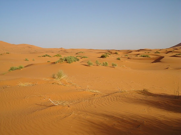 #htmlcaption Erg Chebbi Merzouga