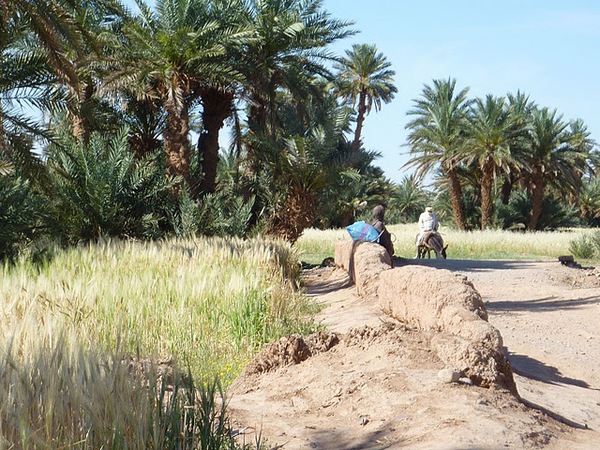 #htmlcaption Draa et dunes de Chegaga