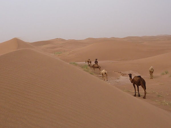 #htmlcaption Draa et dunes de Chegaga