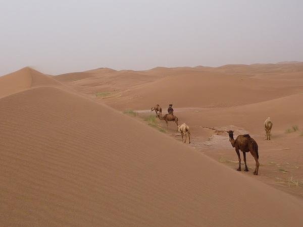 Draa et dunes de Chegaga