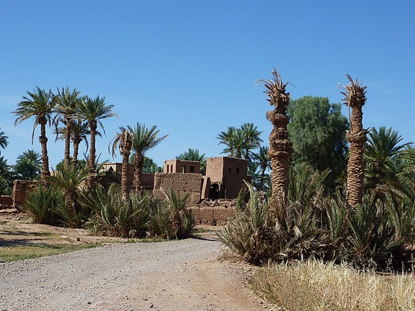 Draa et dunes de Chegaga