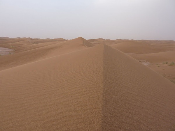 Draa et dunes de Chegaga