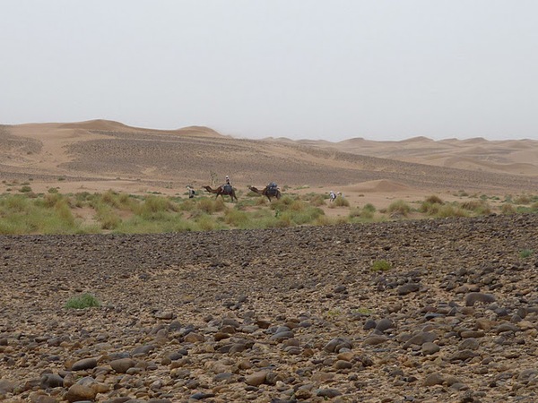 #htmlcaption Draa et dunes de Chegaga