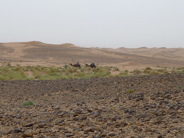 Draa et dunes de Chegaga