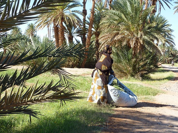 #htmlcaption Draa et dunes de Chegaga