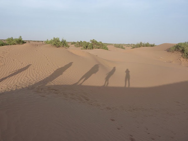Draa et dunes de Chegaga