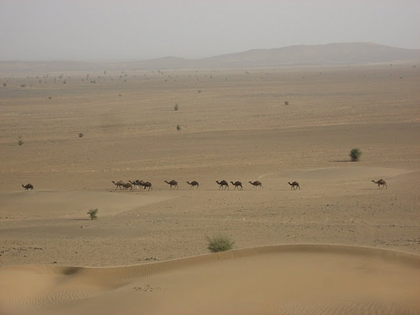 Djebel Saghrou et sahara