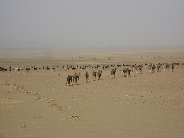 Djebel Saghrou et sahara