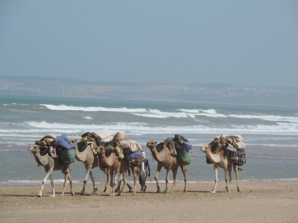 Essaouira Mogador