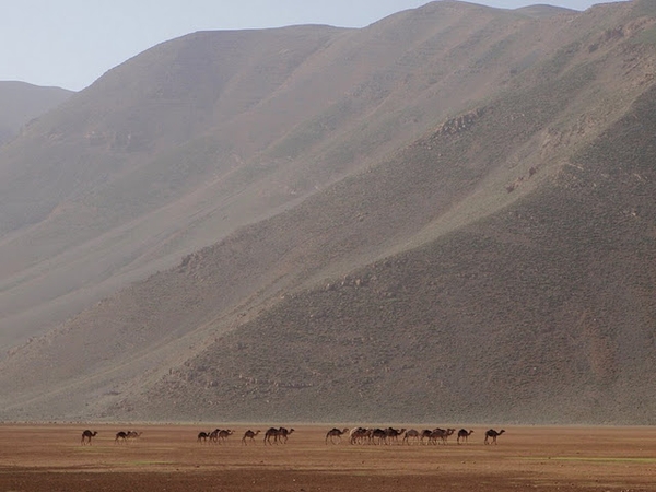 #htmlcaption Terres de transhumance