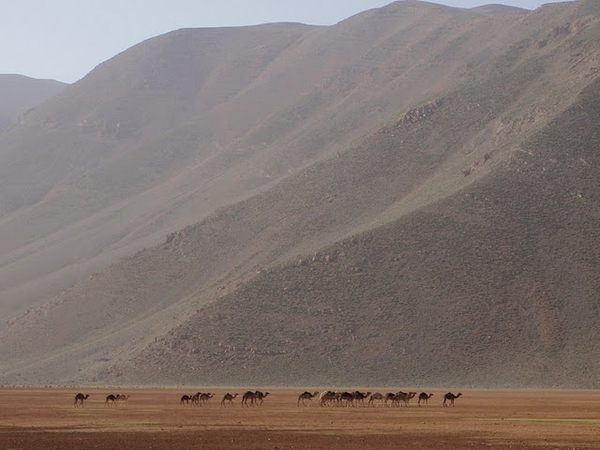 Terres de transhumance