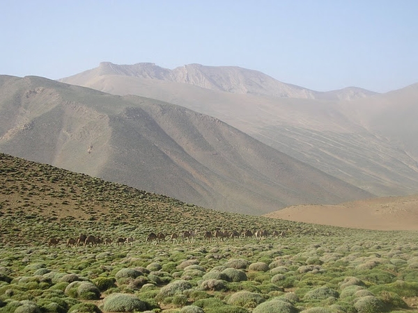 Terres de transhumance