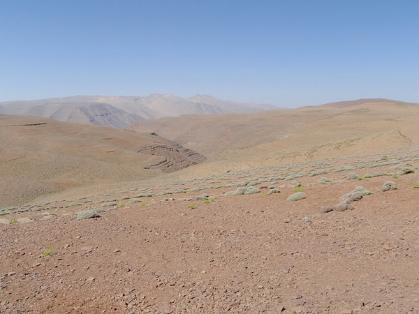 Terres de transhumance