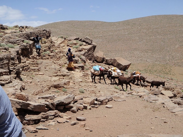 Terres de transhumance