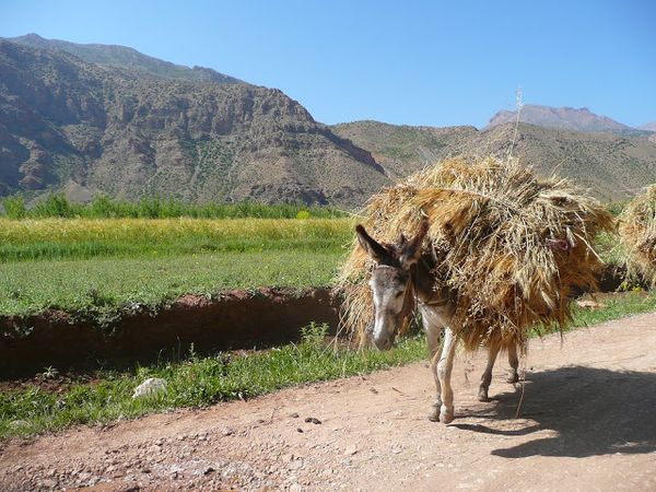 #htmlcaption Vallée Bougmez