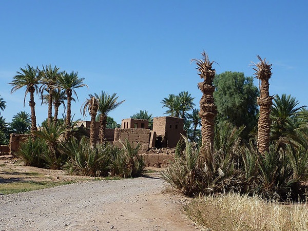 #htmlcaption oued draa