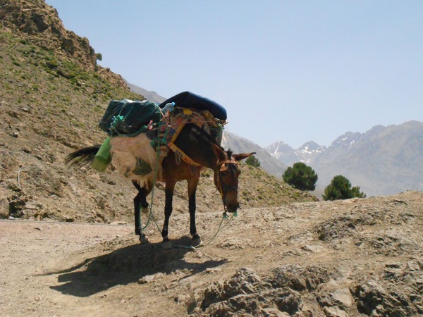 villages berbères du Toubkal